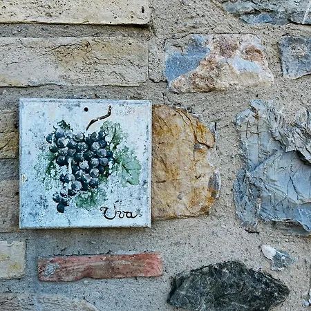 Uva - Poderone شقة *