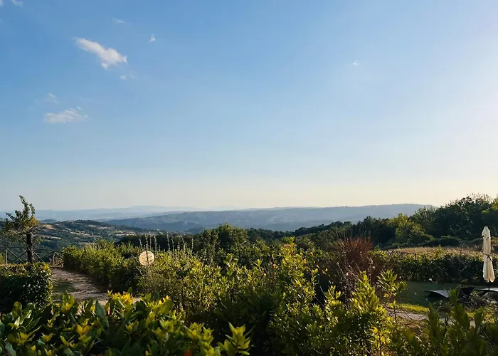 Uva - Poderone * Triana